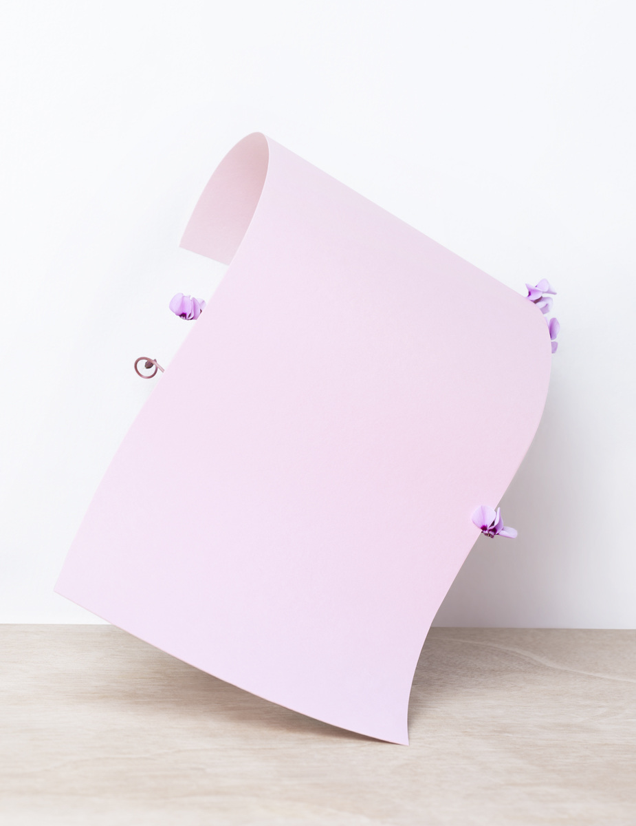 'paper/plant’ photography series